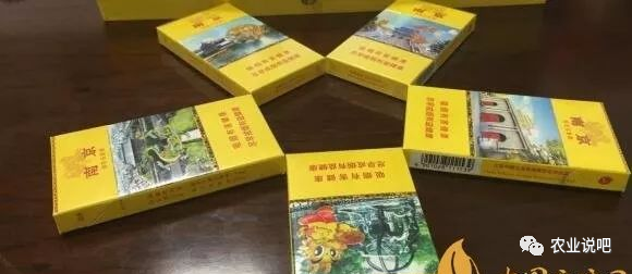 雨花石香烟价格解析，一条与一包的价值探究