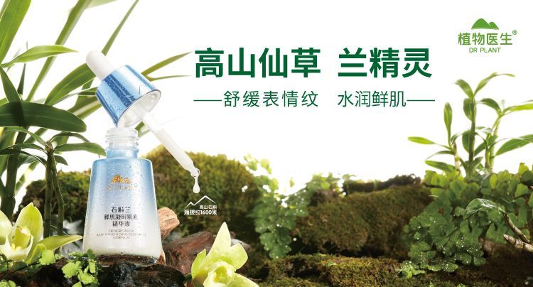 植物医生正品查询入口，消费者权益保障的关键措施