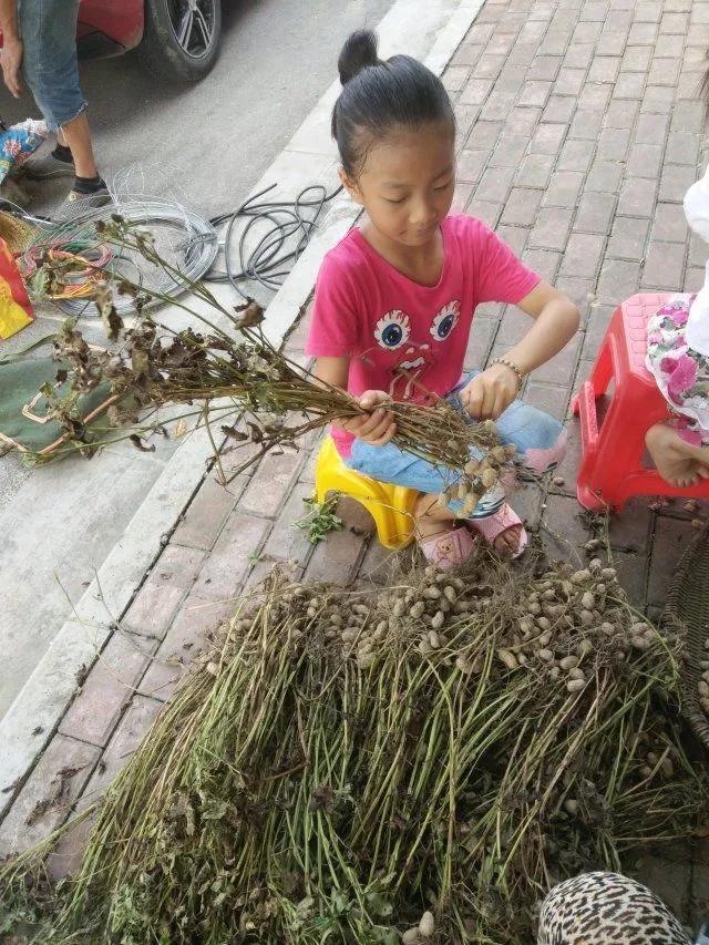 小苹果活动助手，一键领取手机，科技福利轻松享