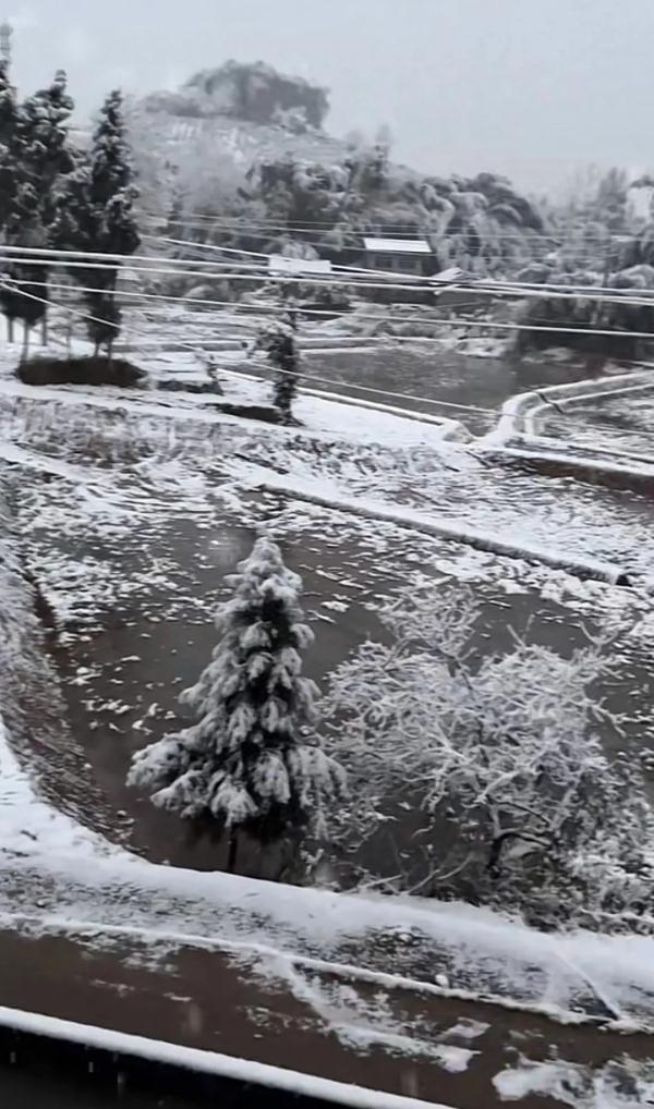 全国多地加入下雪群聊