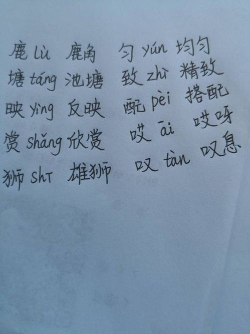 暇字的组词及其含义深度解析