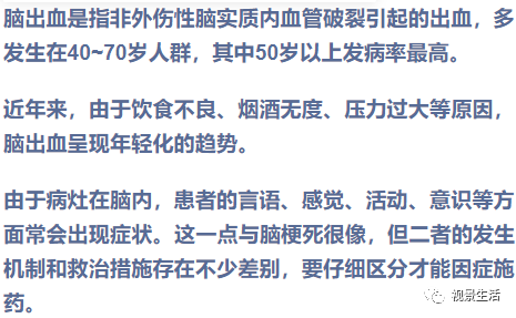 脑组词探秘，揭示人类思维的深层奥秘