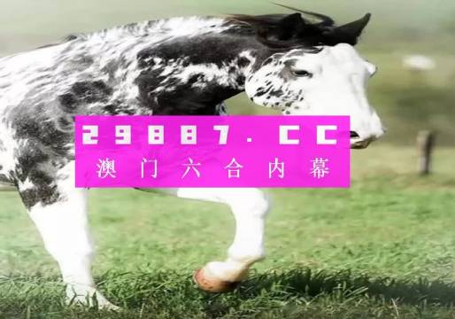 大三巴一肖一码图,全面解析说明_豪华款48.856