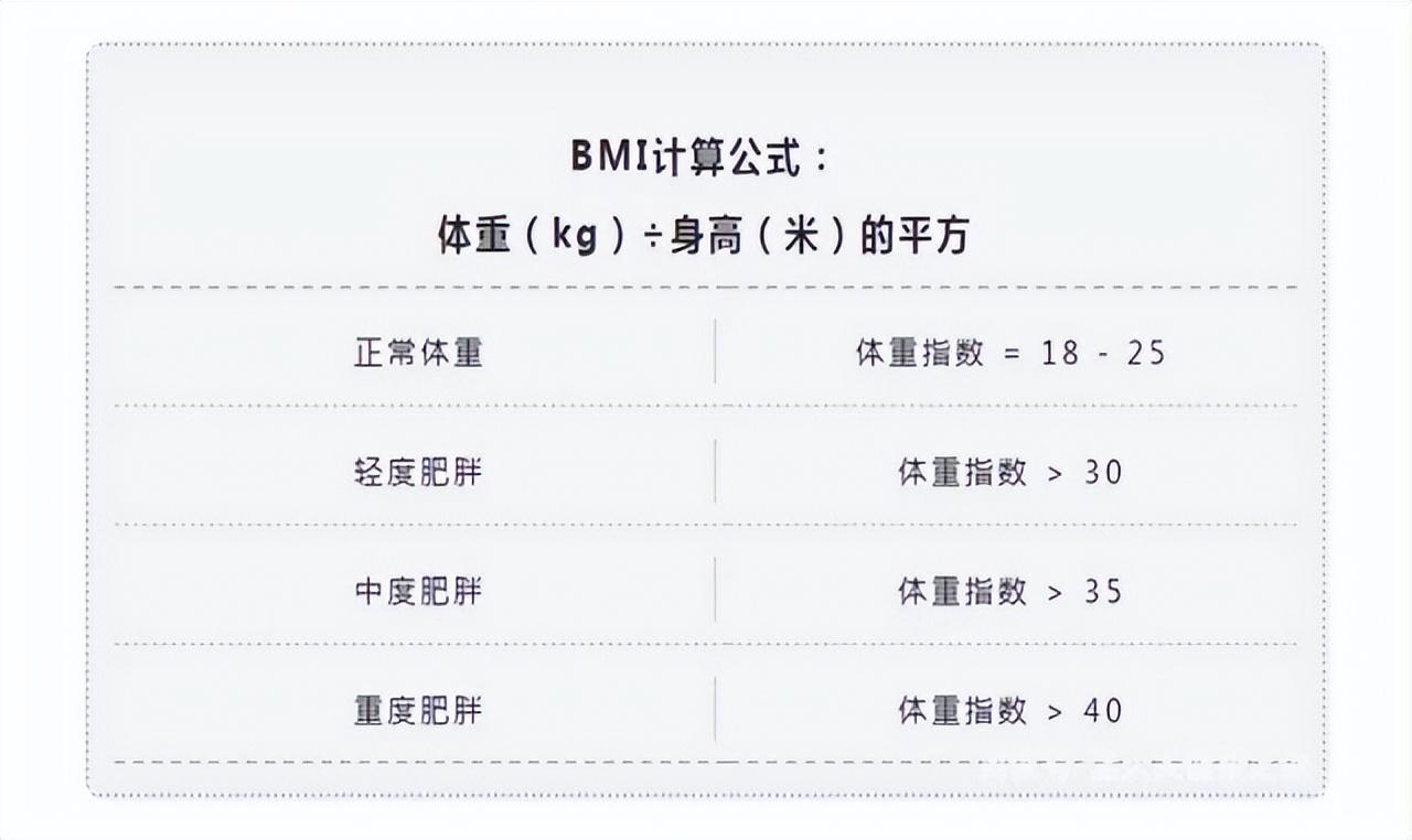 BMI计算公式简介，揭示体重与健康的关联重要性