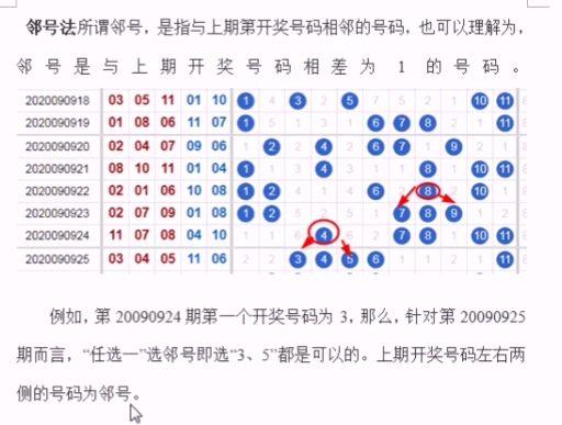 四肖选一肖中特特,标准化实施评估_The79.467