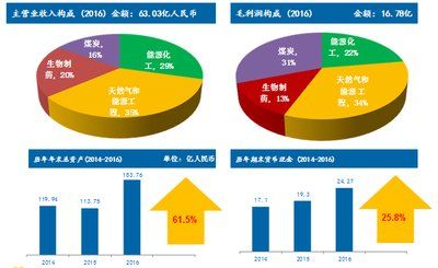 新奥长期免费资料大全,实地分析数据应用_set51.380