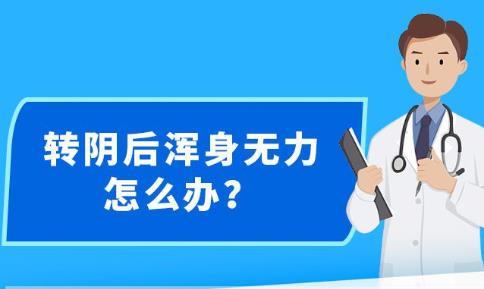 新澳精准资料免费大全,系统化说明解析_优选版74.483