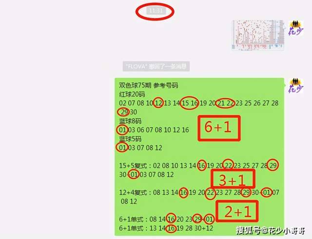 白小姐今晚特马期期准六,互动性策略解析_超值版32.43