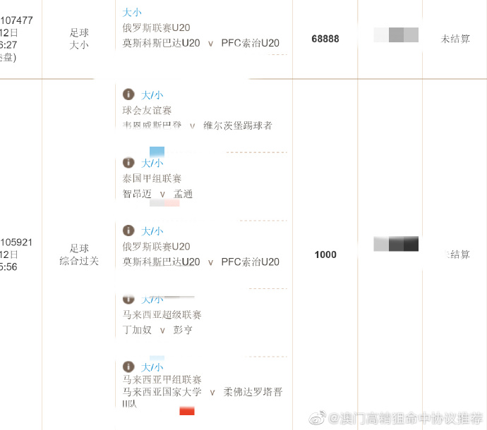 王中王精准资料期期中澳门高手,数据支持设计计划_Elite23.176