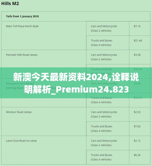 新澳2024最新资料,快捷问题方案设计_pack29.876