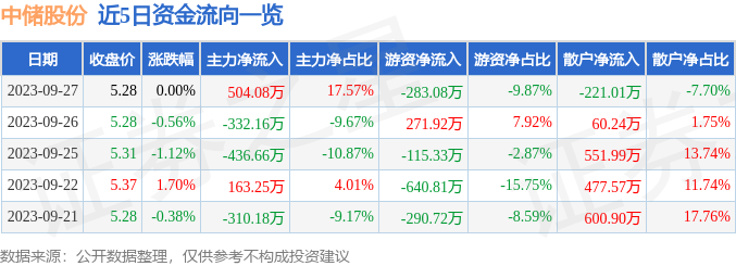 中储股份业务多元化与发展概览