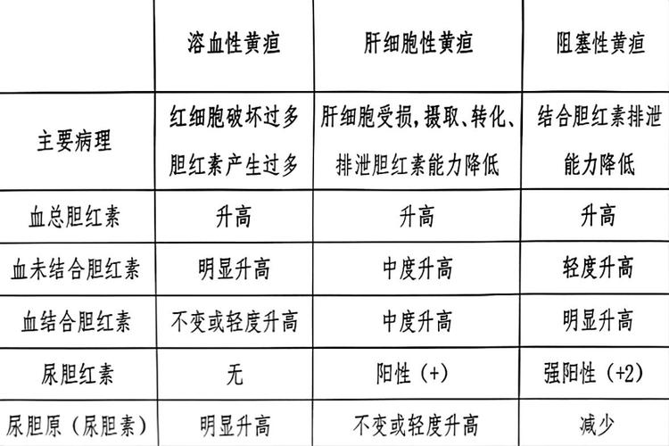 女性总胆红素偏高降低方法，综合调理与健康管理全攻略