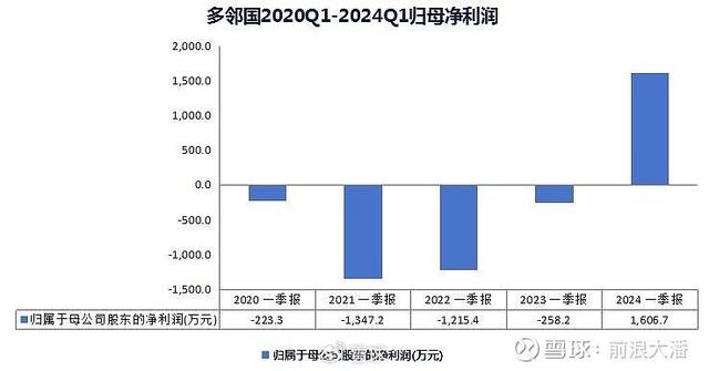 英洛华多元化企业潜力与挑战深度解析，雪球分析揭秘真相