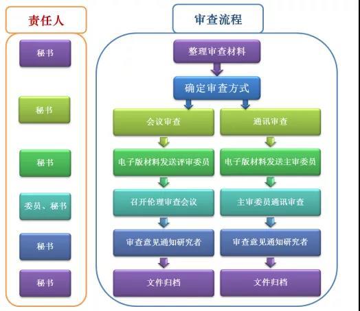 伦理审查关注的重点解析