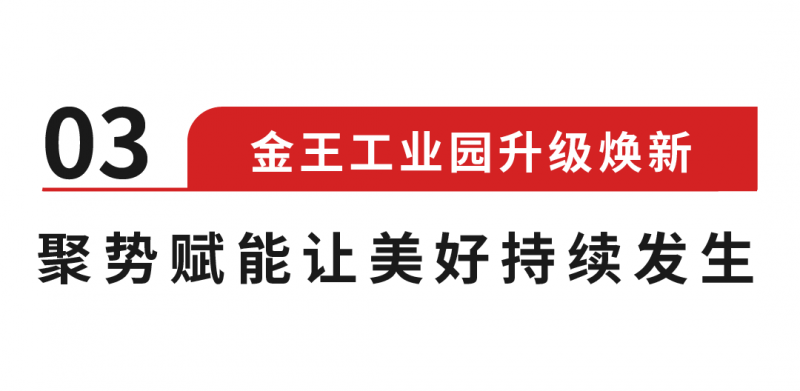 青岛金王集团，卓越之路的探索者