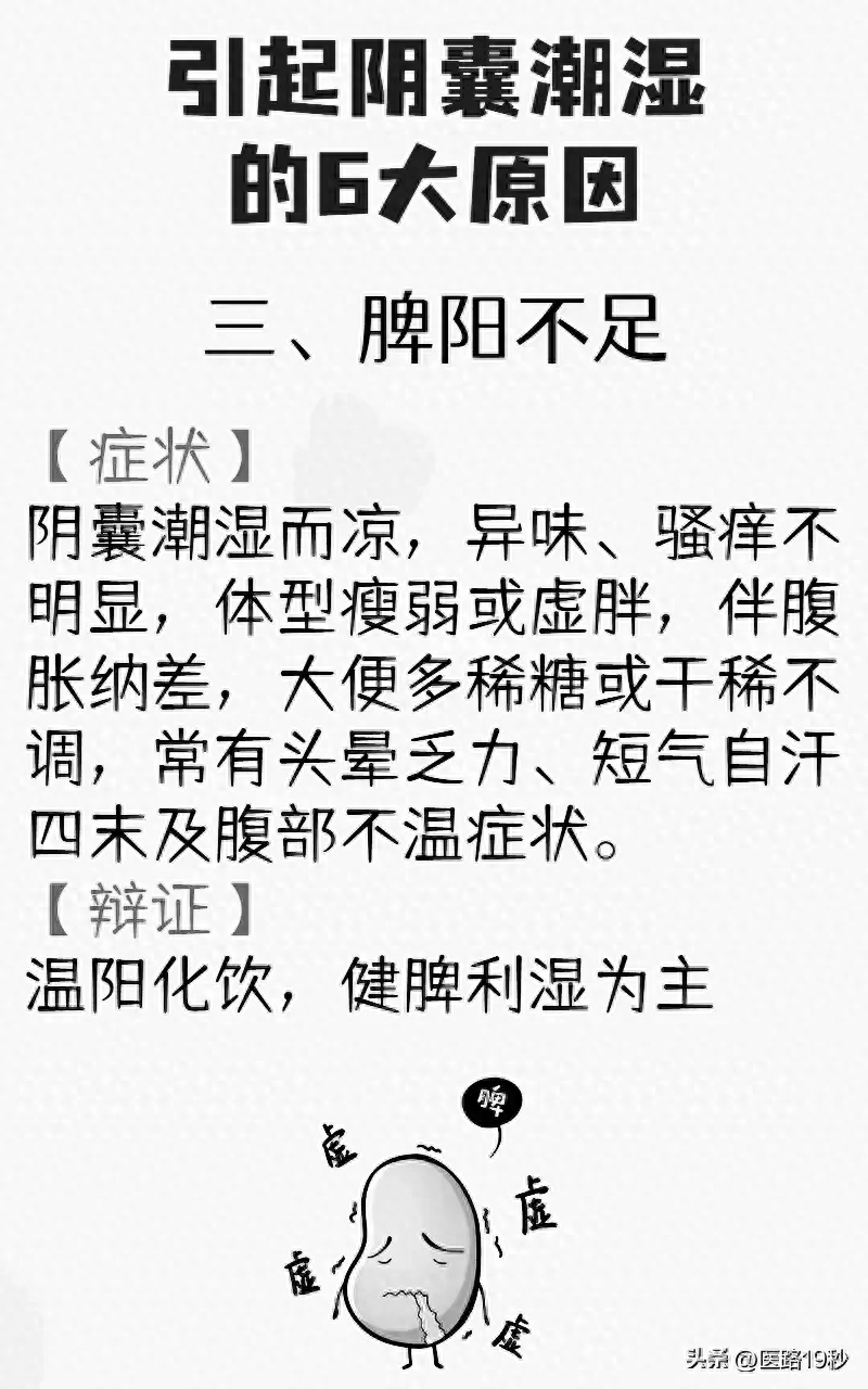 阴囊潮湿的原因及调理方法，阴虚还是阳虚？解析背后真相