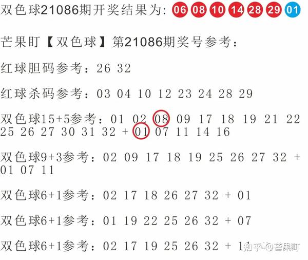 双色球下一期专家推荐号码深度分析与预测概览