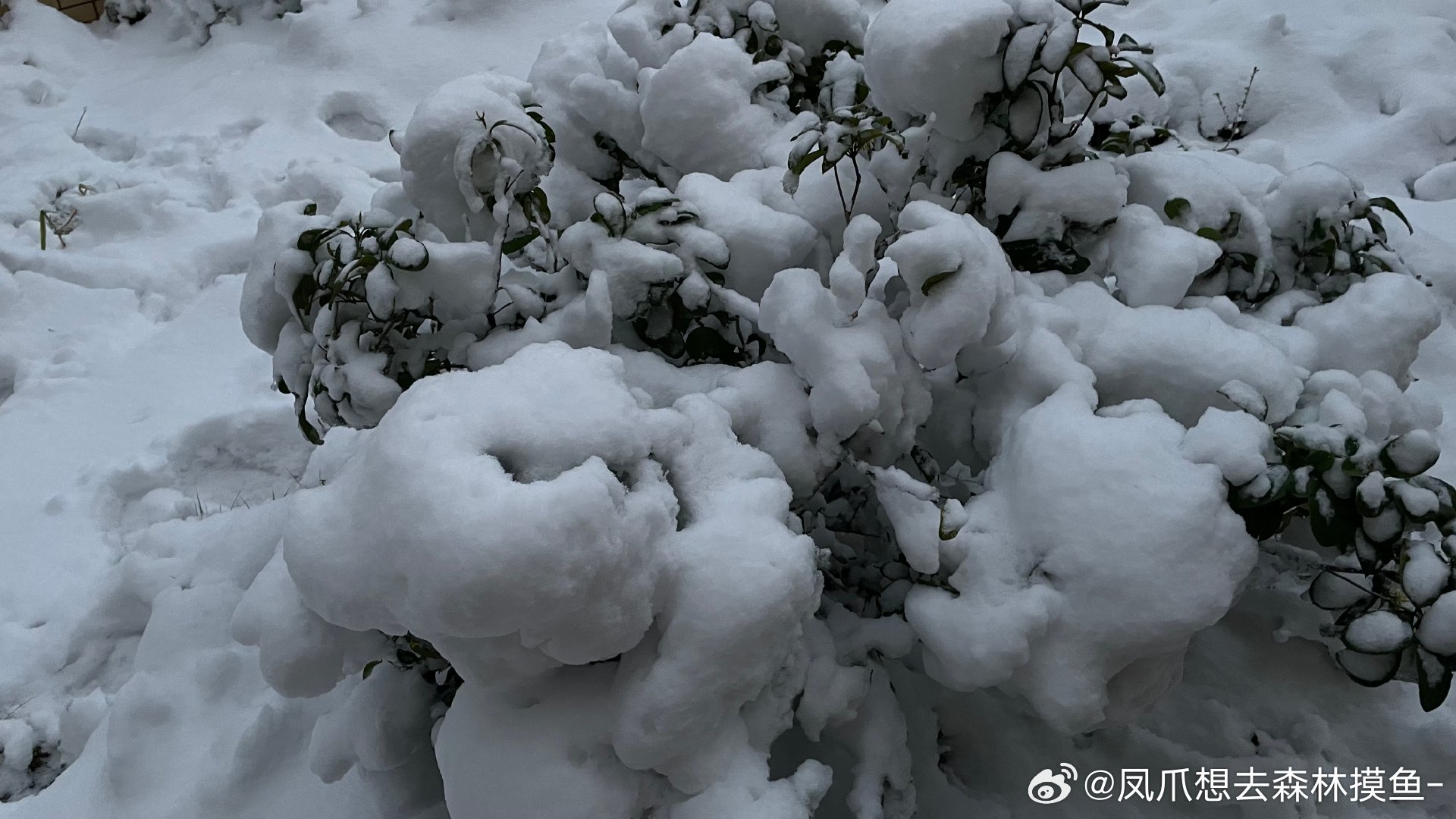 人与自然和谐共生，万森呼唤不再下雪的共生之道