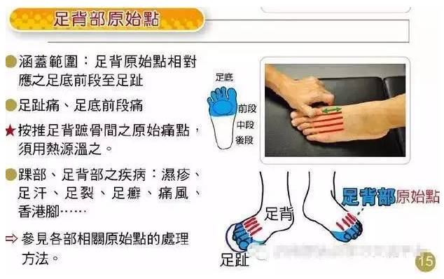 踝的正确读音与相关知识解读