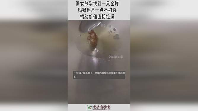 蝉妈妈背后的公司，深度探索与解析