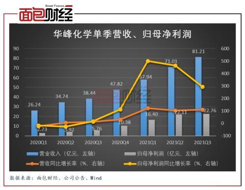 氨纶价格走势解析与预测