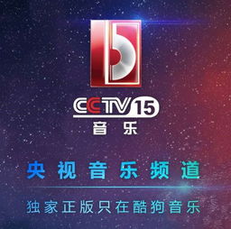 中央CCTV4直播在线观看，全新视听盛宴呈现