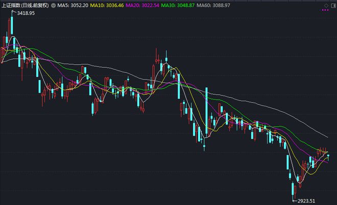 股票行情深度分析，展望与预测