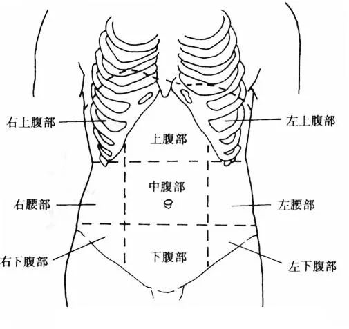 女性小腹疼痛原因解析与探讨