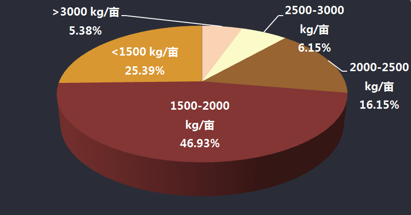 揭秘转换之谜，2000斤等于多少千克？详解揭秘过程。