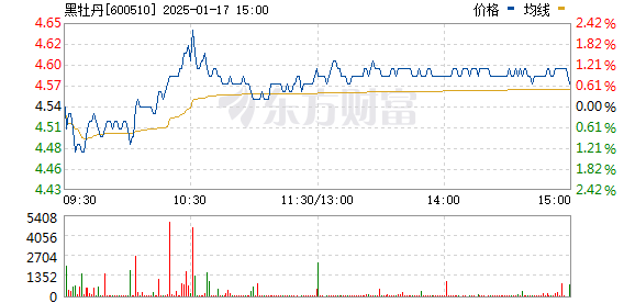 深度解析，600510股票行情与市场走势展望