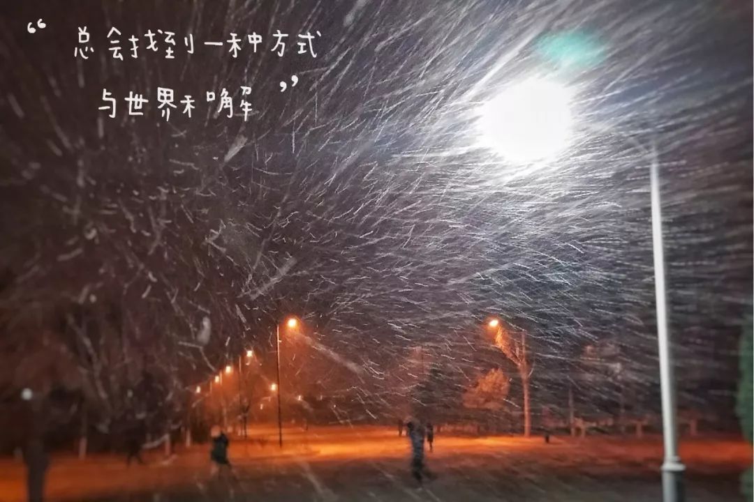 雪落无声，世界纯净如画