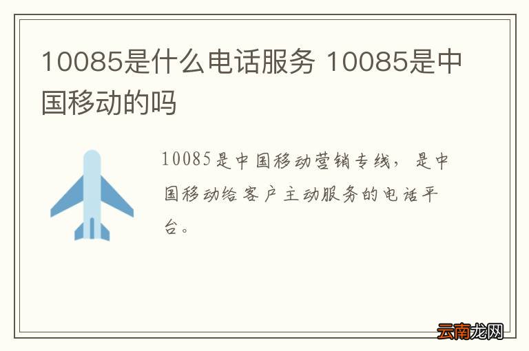 10085电话服务可靠性深度解析