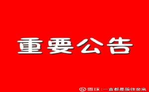 九洲集团股吧，企业潜力与未来发展探究