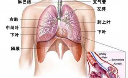 支气管炎的症状表现解析