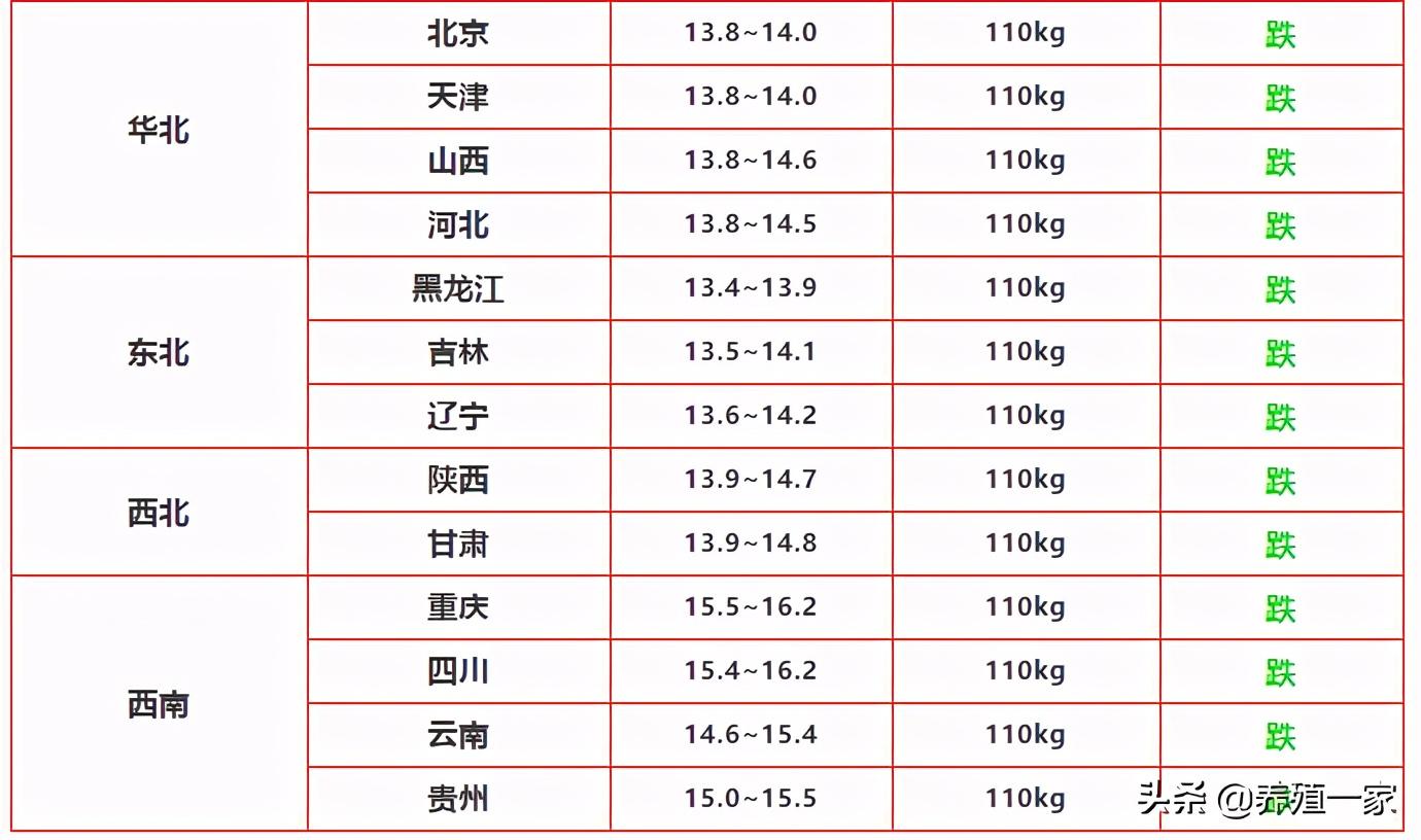 四川长虹股票行情全面解析