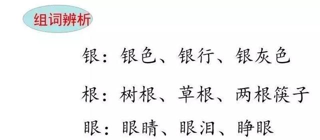 探究汉字魅力，体验学习乐趣——棵组词二字小学生探究之旅