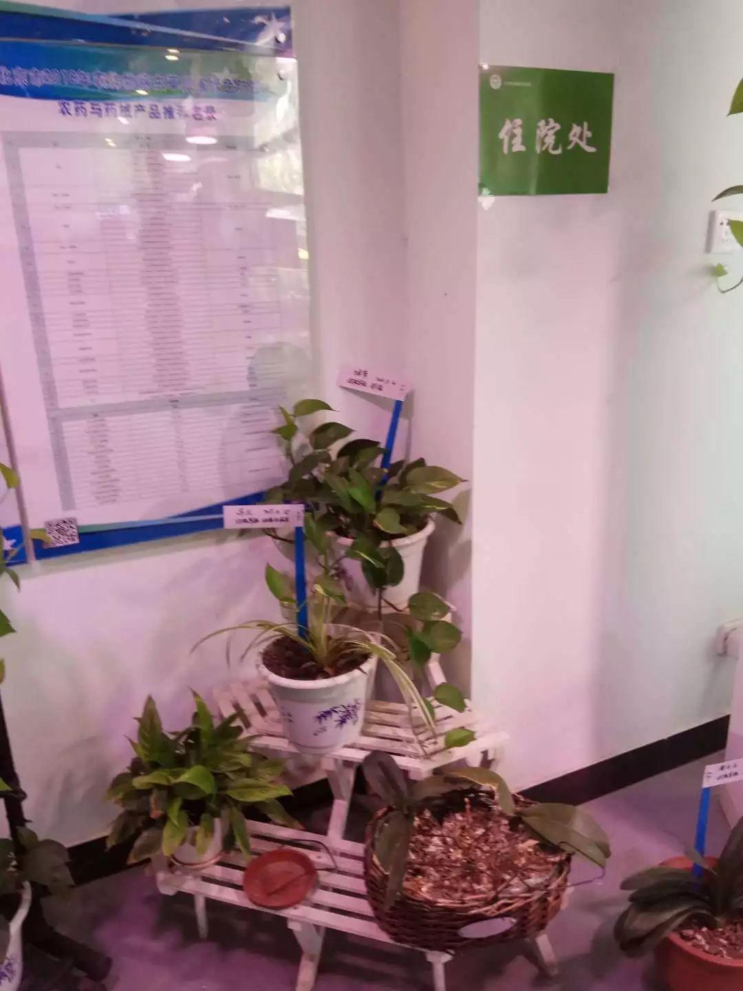 植物医生法人身份探秘，揭开背后的神秘面纱