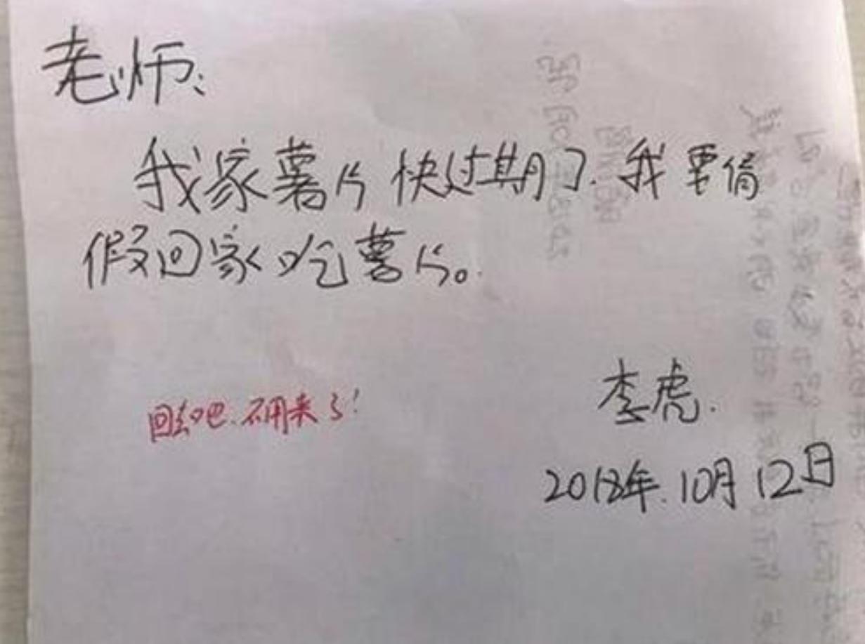 学生请假条使用指南，请假流程与注意事项详解