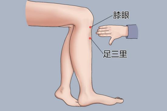 足三里位置的重要性及功效作用详解