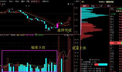 佛塑科技社评股吧，深度分析与前景展望