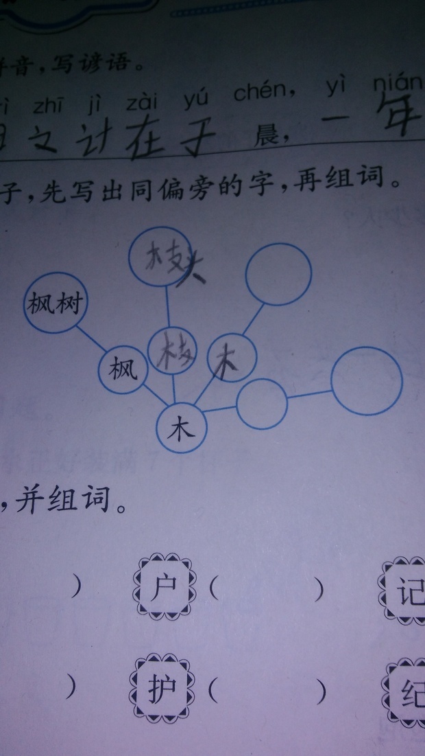 木桨组词奥秘探究，正确与否的探讨