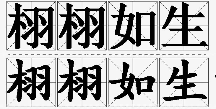 2025年2月21日 第5页