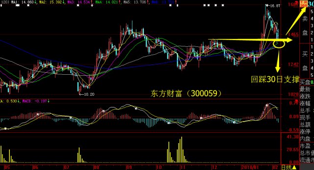 东方财富股票股解析，代码300059的独特魅力探究