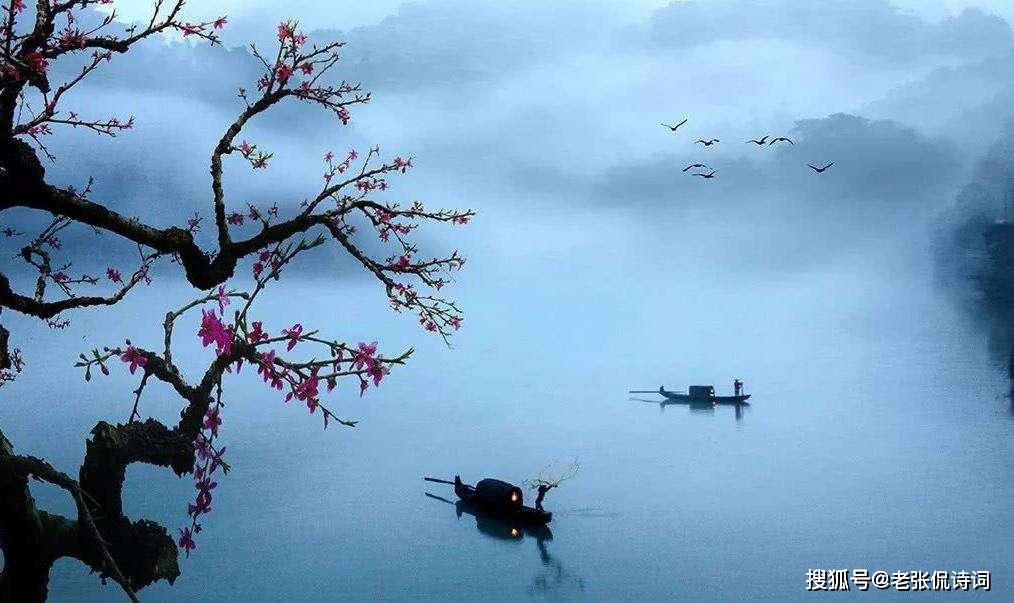 一蓑烟雨下的莲花梦迟